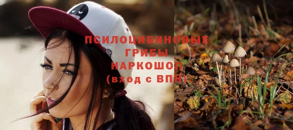 гидра Краснотурьинск