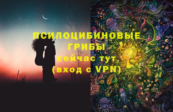Альфа ПВП Краснослободск