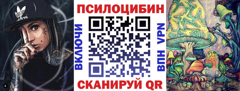Купить закладки  Алексин  Псилоцибиновые грибы прущие грибы 